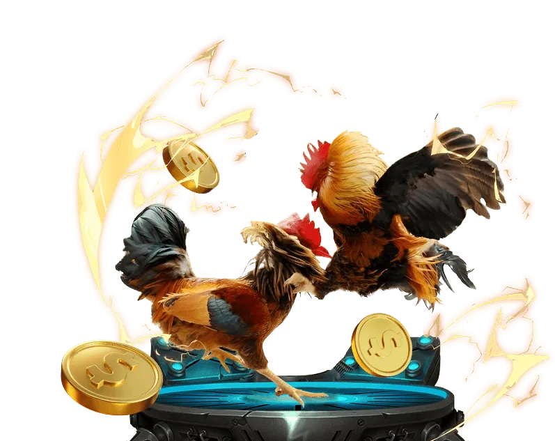 Sứ mệnh và tầm nhìn của bay 789